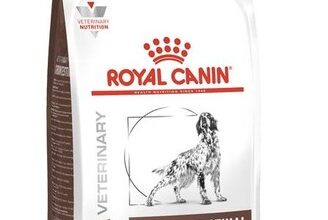 Royal Canin Gastro Intestinal 15kg Hundefutter