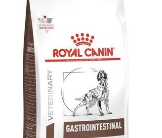 Royal Canin Gastro Intestinal 15kg Hundefutter