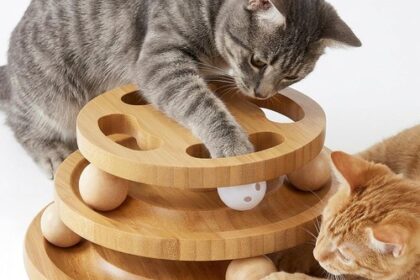 ZOMISIA Katzenspielzeug mit Puzzle, Holz Interaktives
