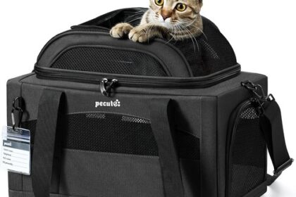 Transportbox Katze, Erweiterbar, Faltbar, Stabil, Grau,