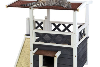 Katzenhaus Katzenhütte Katze Haus Hütte Terrasse
