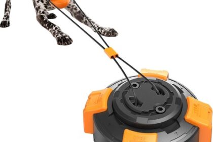 Hochwertiges Hundespielzeug Zerrspielzeug Saugnapf 6,8 cm