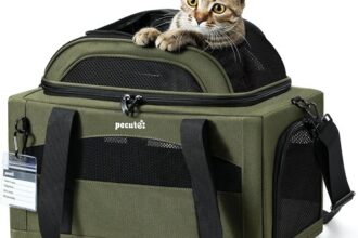 Transportbox Katze Faltbar Erweiterbar Grün Stabil