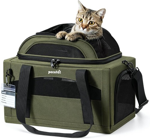Transportbox Katze Faltbar Erweiterbar Grün Stabil