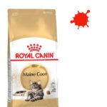 10 kg - Royal Canin Maine