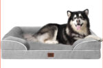Hundebett Orthopädisch Memory Foam XXL 122x89cm