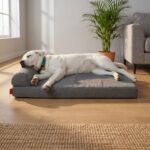 Hundebett Orthopädisch Hundeliege Grau Robust Hundekissen