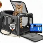 Katzentransportbox Kleiner Hund oder Katze bis