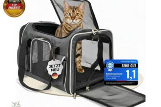 Katzentransportbox Kleiner Hund oder Katze bis
