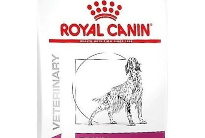 Royal Canin Renal - 7 kg