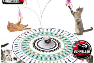 Katzenspielzeug 4-in-1 Mit Beweglicher Feder, USB-Aufladbar,