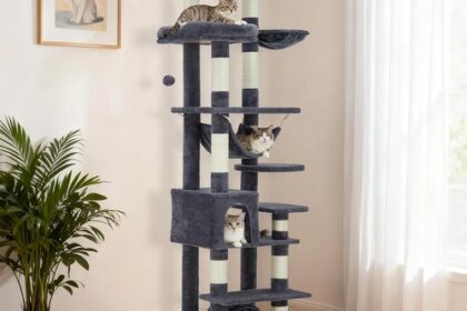Kratzbaum Katzenkratzbaum XXL Katzenbaum große Katzen