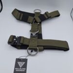 Bullsland Dogwear Hundegeschirr Grün Größe: M