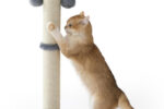 Katzen Kratzbaum mit Sisalstamm und Spielball