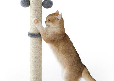 Katzen Kratzbaum mit Sisalstamm und Spielball