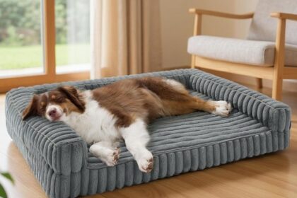 Hundebett Orthopädisch 89x64x18cm Wasserdicht Memory-Schaum Grau