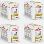ROYAL CANIN VET Dog Urinary Katzen