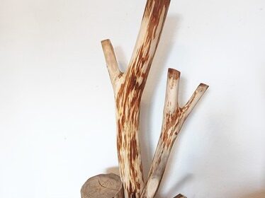 Katzenbaum Kratzbaum Baumstamm Natur Holz Ulme