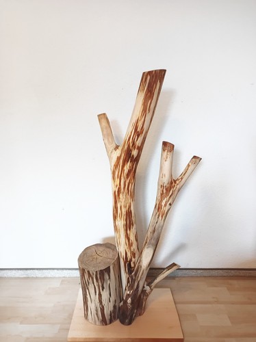 Katzenbaum Kratzbaum Baumstamm Natur Holz Ulme