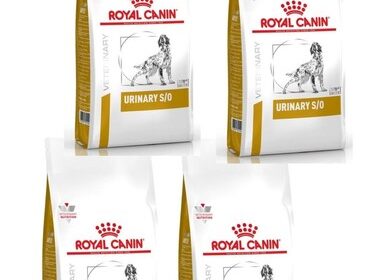 ROYAL CANIN Dog urinary Trockenfutter für