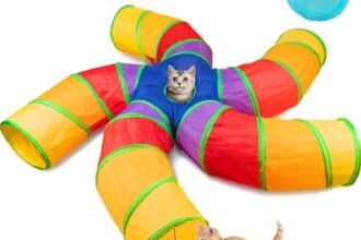 Katzentunnel Katzenspielzeug Innenbereich Spieltunnel Mehrfarbig Faltbar