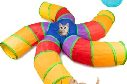 Katzentunnel Katzenspielzeug Innenbereich Spieltunnel Mehrfarbig Faltbar