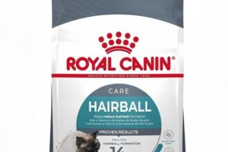 Royal Canin Hairball Care 10kg Katzenfutter