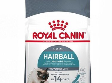 Royal Canin Hairball Care 10kg Katzenfutter