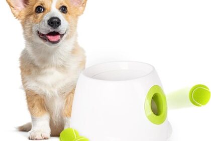 Automatischer Ballwerfer für Hunde, Interaktives Hundespielzeug,