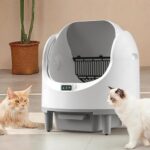 Oben offene Katzenklo Selbstreinigende Katzentoilette APP