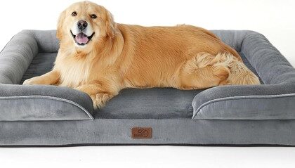 Hundebett Orthopädisch Ergonomisch Grau 122x89cm für
