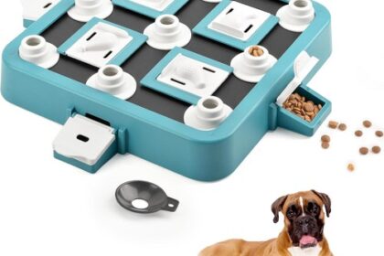 Hundespielzeug Intelligenz Level 3 in 1