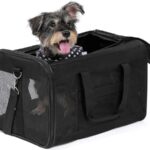 Hundetransportbox für Auto Große Katzen &