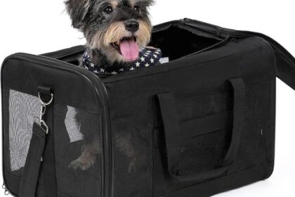 Hundetransportbox für Auto Große Katzen &