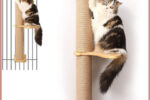 FUKUMARU Kratzbaum für Katzen 93 cm