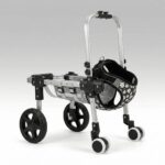 Wheelchair Dog for Back Legs, 2/4 Wheels Adjustable Mobility Support for Small Medium Dogs | Traverseon