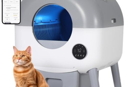 Auto Selbstreinigende Katzenklo Offene Toilette LED