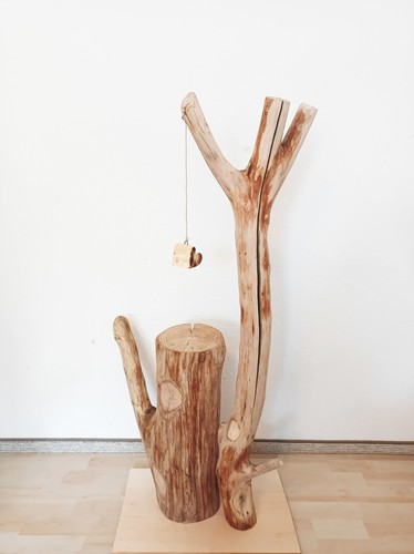 Katzenbaum Kratzbaum Baumstamm Natur Holz Ulme