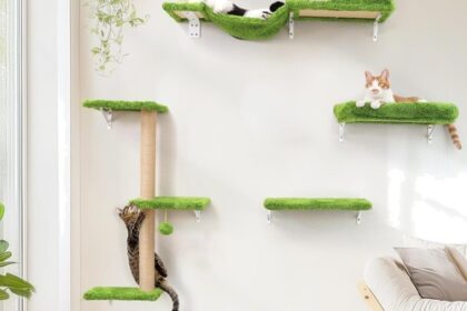 Katzen Kletterwand Set Kratzbaum Wandmontage Katzenregal