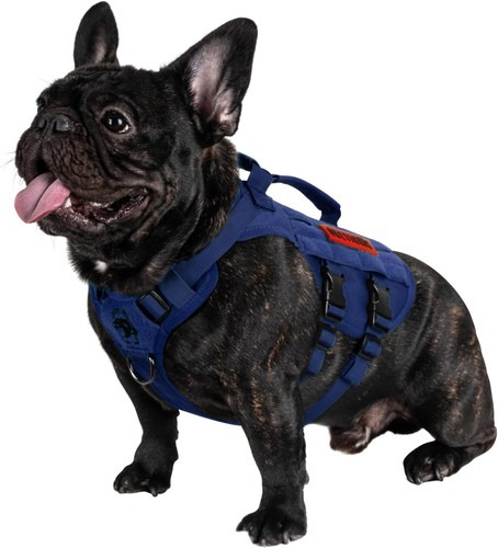 OneTigris Anti Zug Hundegeschirr Mittelgroße Hunde,