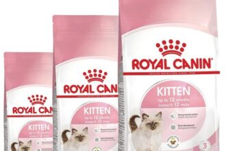 Royal Canin Kitten Katzenfutter Trockenfutter Wachstum