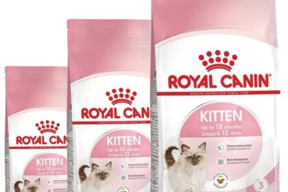 Royal Canin Kitten Katzenfutter Trockenfutter Wachstum