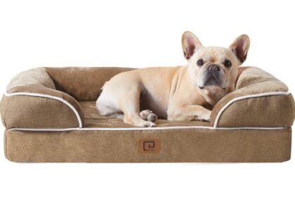 Pet Care Blog