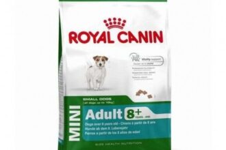 Royal Canin Mini Adult +8 Hundefutter