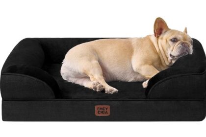 Hunde