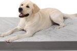 Hundebett Orthopädisch XL 104x68 Doppelseitig Wendbar
