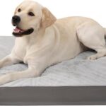 Hundebett Orthopädisch XL 104x68 Doppelseitig Wendbar