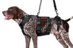 Hundegeschirr Unterstützung Einstellbar Hebegeschirr Atmungsaktiv Nylon