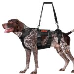 Hundegeschirr Unterstützung Einstellbar Hebegeschirr Atmungsaktiv Nylon