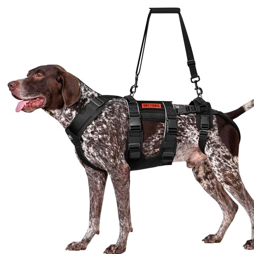 Hundegeschirr Unterstützung Einstellbar Hebegeschirr Atmungsaktiv Nylon